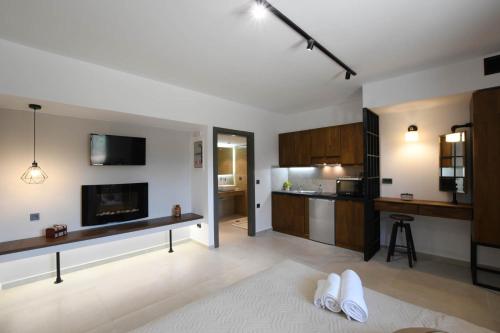a large living room with a kitchen with a tv at Orion Eco Suites in Karteros