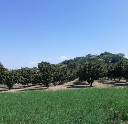 Φυσικό τοπίο κοντά σε αυτό το διαμέρισμα