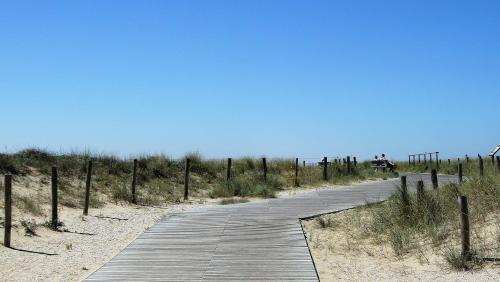 a wooden boardwalk through the sand on the beach at Emma's beach house in Katwijk aan Zee