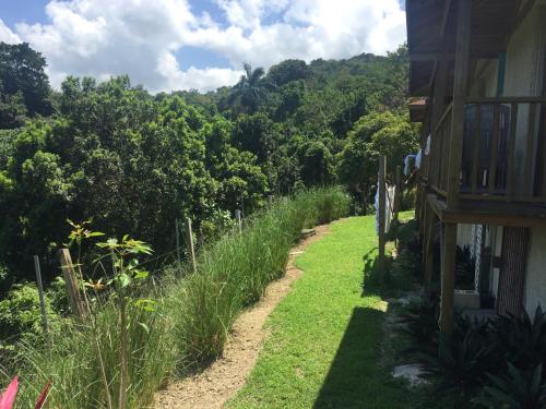 a path next to a house with a mountain at Teresinajamaica in Saint Annʼs Bay