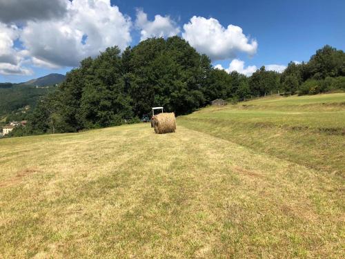 a large field with a bale of hay in a field at Le Pianelle in Varese Ligure