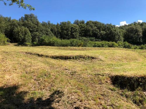 a field of grass with trees in the background at Le Pianelle in Varese Ligure