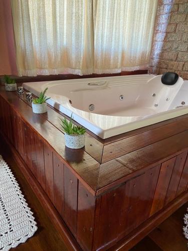 a bath tub with two potted plants on top of it at Sítio Recanto do Araçá in Visconde De Maua