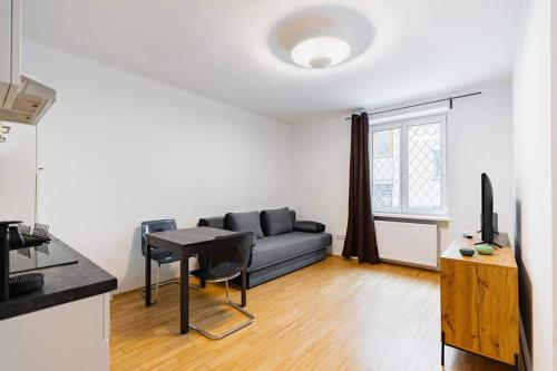 Newly-Renovated, Central City Apartment in the Heart of Vienna