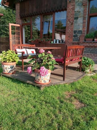 three potted plants on a wooden deck with a bench at Penzion Pacovka in Chýnov