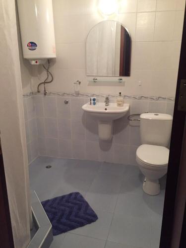 a bathroom with a toilet and a sink and a mirror at Siana 1 Apartment in Sveti Vlas