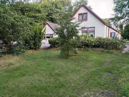 a house with a tree in the yard at B&B Altijd Welkom in Ruinen