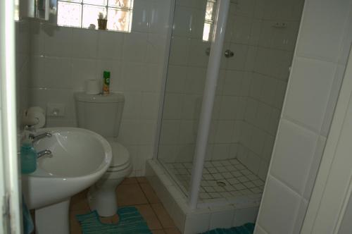 a bathroom with a shower and a toilet and a sink at Crowned Crane in Gonubie