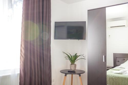Μια τηλεόραση ή/και κέντρο ψυχαγωγίας στο Apartament Family Rivulus 10