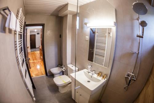 a bathroom with a sink and a toilet and a shower at Apartament Family Rivulus 10 in Baia Mare