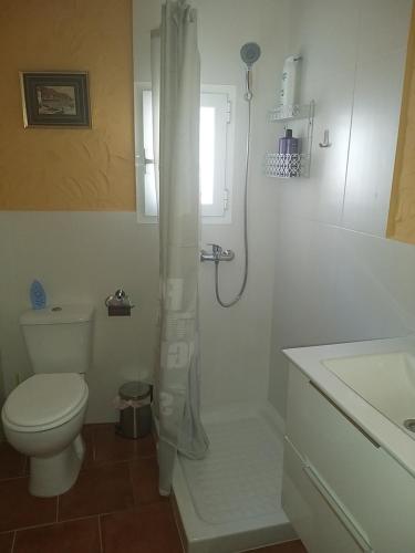 a bathroom with a toilet and a shower and a sink at PENSION LA FUENTE in Abrucena