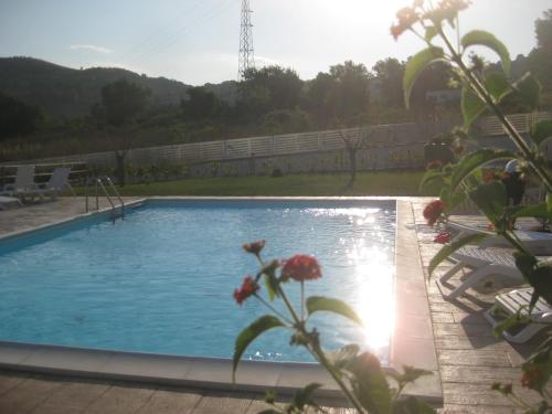 a swimming pool in a yard with a flower in the foreground at LE TORRI DEL CILENTO in Santa Maria di Castellabate