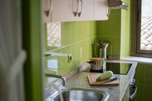 una cocina con paredes verdes y fregadero en Ca La Garranxera, en Porrera