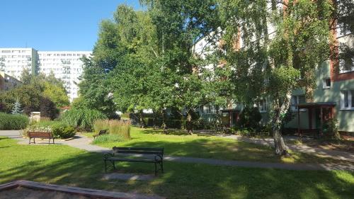 a park with two benches in the grass at Stara Piekarnia - Apartament Dworcowa in Olsztyn