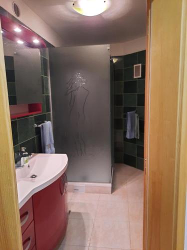 a bathroom with a sink and a shower with a drawing on the wall at Country House Zemljanka in Šentrupert