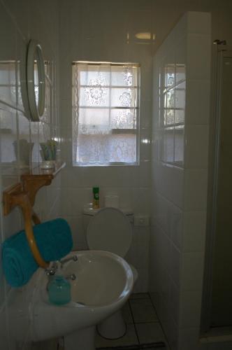 a bathroom with a sink and a toilet and a window at Crowned Crane in Gonubie