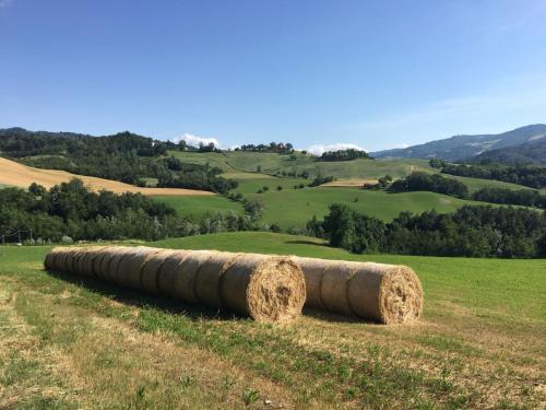 Casa Di Cinti – Photos 5