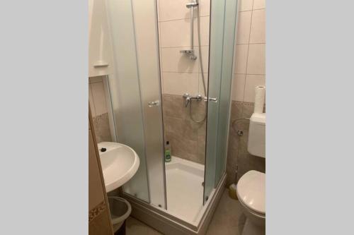La salle de bains est pourvue d'une douche, d'un lavabo et de toilettes. dans l'établissement Apartment Ivo Andric, à Zadar