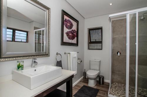 a bathroom with a sink and a toilet and a mirror at Casa Ridge Self-catering in Durban