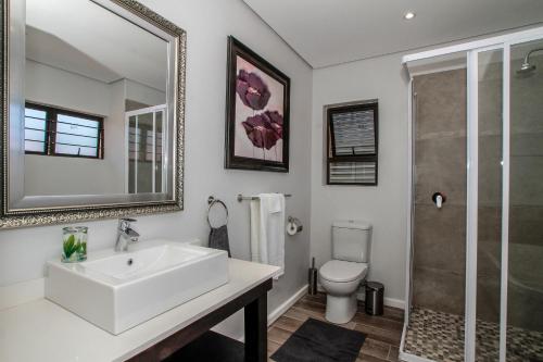 Un baño con lavabo, inodoro y espejo. en Casa Ridge Self-catering, en Durban
