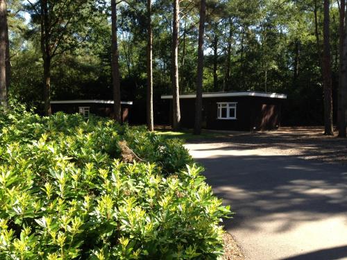 a cabin in the middle of a forest with trees at California Chalet & Touring Park in Wokingham