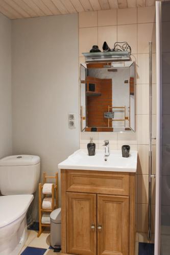 a bathroom with a sink and a toilet and a mirror at Lapmanni Holiday Home in Haapsalu