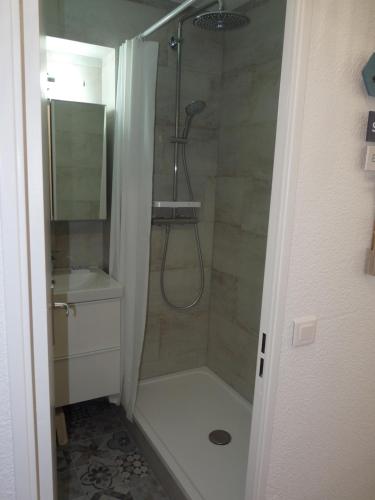 une salle de bain avec douche et lavabo dans l'établissement Le nid de la Mouette, à Argelès-sur-Mer