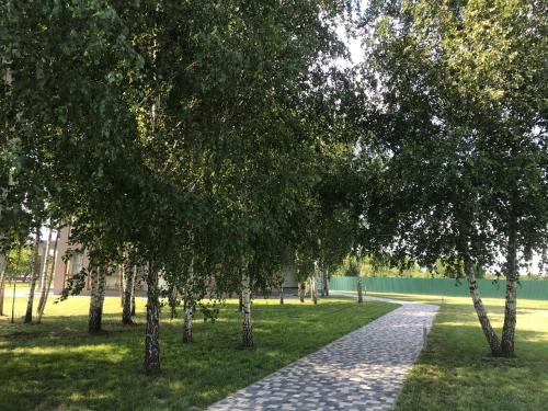 un chemin dans un parc planté d'arbres et d'herbe dans l'établissement Авиатик, à Jytomyr