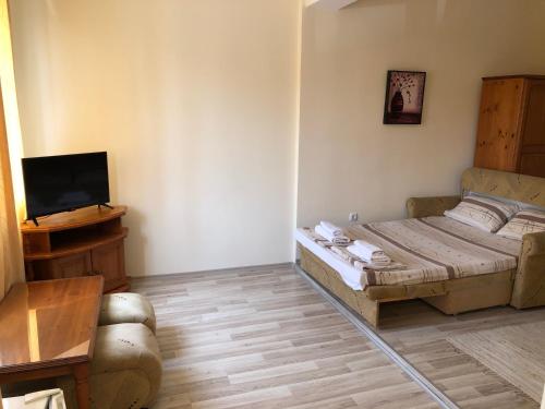 een slaapkamer met een bed en een tv en een bank bij Семеен хотел Авалон in Chernomorets