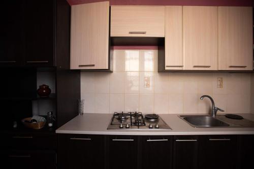Virtuvė arba virtuvėlė apgyvendinimo įstaigoje Guest House in Drachino