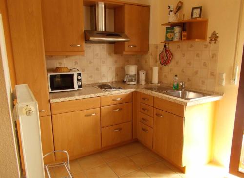 een kleine keuken met een wastafel en een magnetron bij Ferienwohnung Lohse in Kurort Altenberg