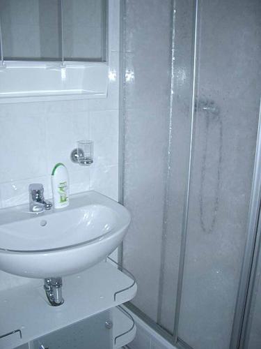 a bathroom with a sink and a shower at Ferienwohnung Lohse in Kurort Altenberg