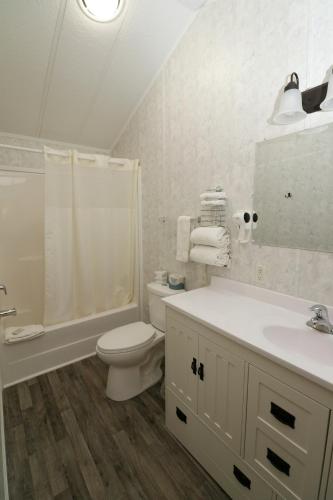 a bathroom with a toilet and a sink and a shower at Bird's Nest Resort in Put-in-Bay