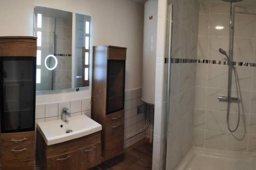 La salle de bains est pourvue d'un lavabo et d'une douche. dans l'établissement Le nid d hirondelles - Terrasse Jardin Grand garage, à Langres