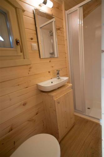 a bathroom with a white toilet and a sink at Zauberwagen Zirkuswagen Naturwagen in Kröpelin