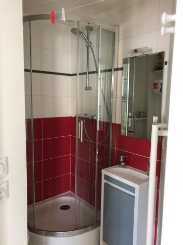 une salle de bain avec douche et lavabo dans l'établissement 2 pièces- rue piétonne Trouville -Le petit juliana, à Trouville-sur-Mer