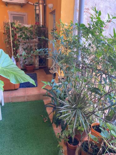 Imagen de la galería de Casal Banco de Felanitx,habitaciones privadas, en Felanitx