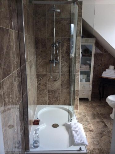 a bathroom with a shower with a tub at Holly Tree Cottage in High Etherley