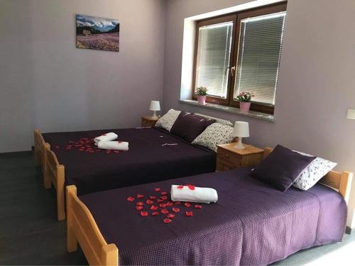 two beds in a room with red rose petals at Willa Nad Potokiem in Białka Tatrzanska