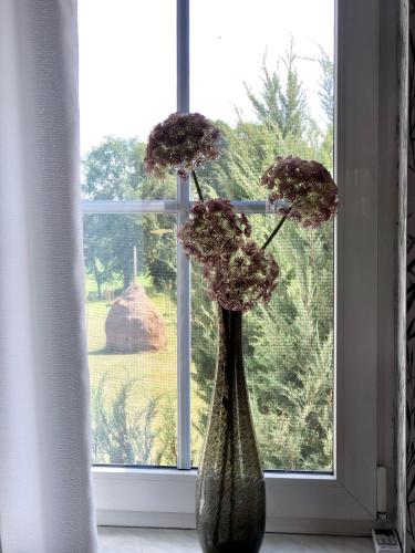 a vase filled with flowers sitting in a window at Ferienapartments Spreewaldwiesen in Vetschau
