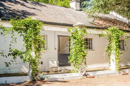 an old white house with vines growing around it at Natte Valleij in Klapmuts