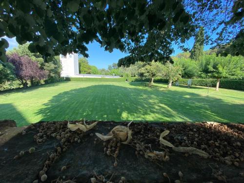 a view of a garden with a grass yard at Casa Santa Elena in Santa Cristina d'Aro