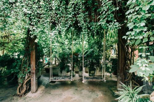 Сад в Banya BnB ที่พักบ้านย่าบีแอนด์บี เมืองประจวบฯ