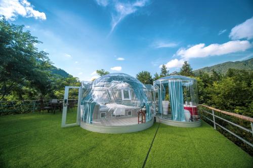 two domes on a lawn with a house in it at Forest Glass inn in Zhangjiajie