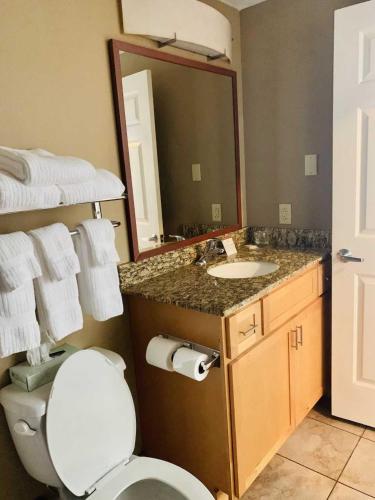 a bathroom with a toilet and a sink and a mirror at Candlewood Suites Harrisburg I-81 Hershey Area by IHG in Harrisburg