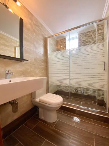 a bathroom with a toilet and a sink and a shower at Theodora’s Studios in Repanídhion