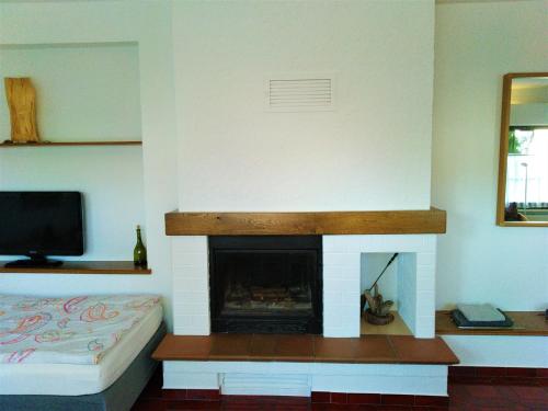 a living room with a fireplace and a tv at Pension Köthen in Köthen
