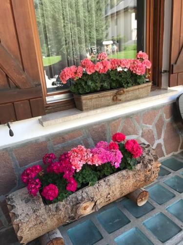 a window box filled with flowers on a window sill at Garni La Vara in Corvara in Badia