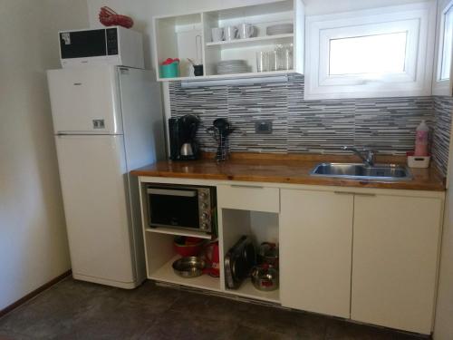a kitchen with a white refrigerator and a sink at Bustillo Chico in San Carlos de Bariloche