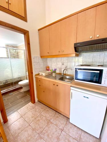 Gallery image of Theodora’s Studios 2 in Repanídhion